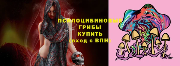 ешки Горно-Алтайск