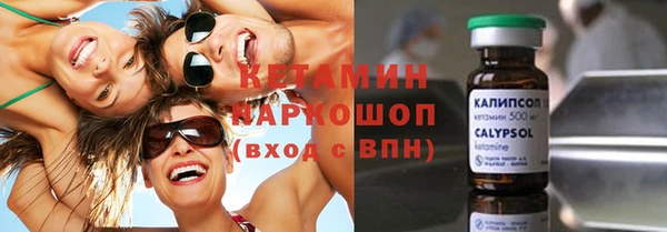 прущие грибы Горняк