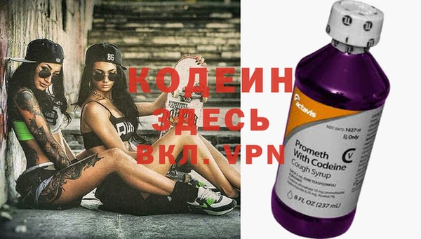 прущие грибы Горняк
