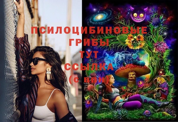 прущие грибы Горняк