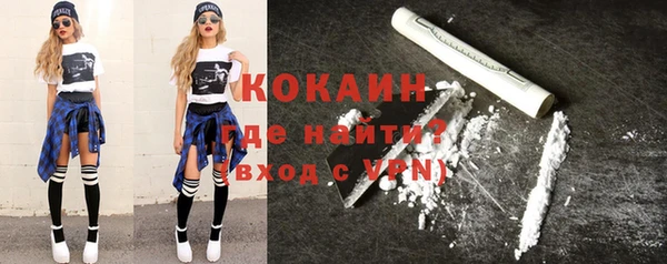 прущие грибы Горняк