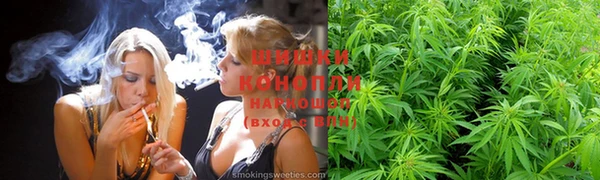 прущие грибы Горняк