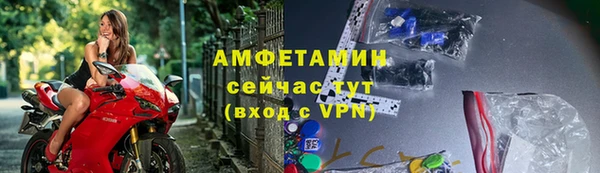 прущие грибы Горняк