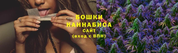 прущие грибы Горняк